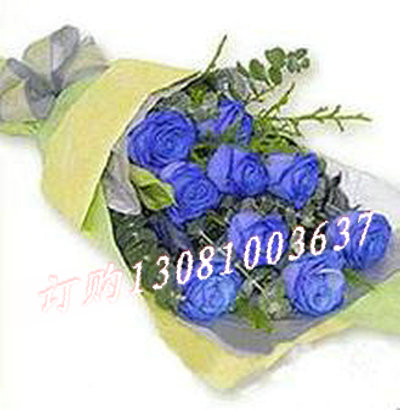 商品详细;9支蓝玫瑰精致包装-棉纱单面包装