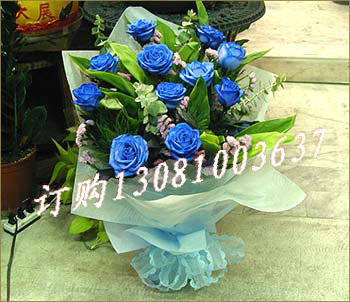 商品详细;11支蓝玫瑰，勿忘我，栀子叶丰满-手揉纸圆形包装