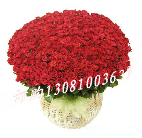 商品详细;365支红玫瑰，绿叶边插-圆形花篮插花