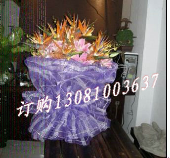 商品详细;8支鹤望兰，8支香水百合，紫色纱网-圆形包装