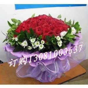商品详细;57枝红玫瑰，栀子叶丰满，小洋菊点缀。-紫色卷边纸，紫色卷纱包装圆形花束