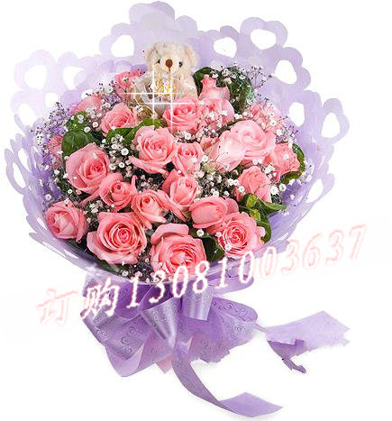 商品详细;21枝粉玫瑰，搭配满天星，精美小熊一只-紫色手揉纸圆形精美包装，紫色丝带打结。