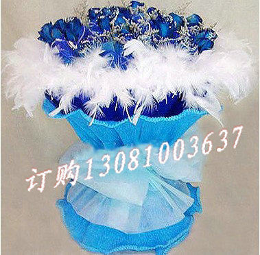 商品详细;21支蓝玫瑰,情人草点缀.白色羽毛外-蓝色卷边荷叶纸圆形包装,白色羽纱束扎