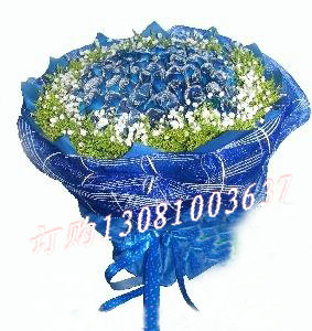 商品详细;57枝蓝玫瑰，外围满天星，黄莺。-蓝色手揉纸叠角包装，外围纱网，蓝色宽丝带法国结