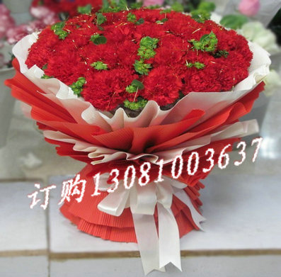 商品详细;66枝红色康乃馨花束，满天星、绿叶围绕-粉色和红色卷边纸圆形包装