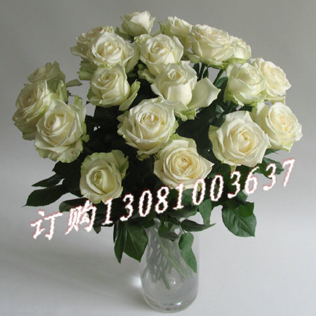 商品详细;19朵白玫瑰绿叶点缀-精美花瓶装饰