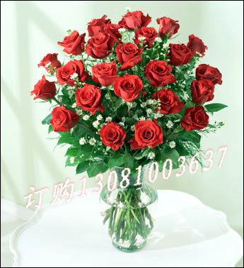 商品详细;16支红玫瑰星花点缀插花-精美花瓶装饰