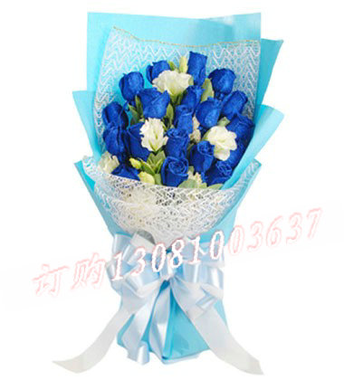 商品详细;19支蓝玫瑰加白色桔梗花点缀-蓝色绵纸加白色网纱单面包装