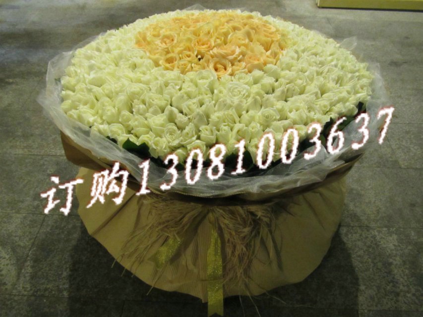 商品详细;900支白玫瑰，99支香槟玫瑰，栀子叶外围。圆形包装-.
