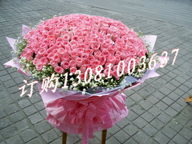 商品详细;365支粉玫瑰，满天星围边，粉色纸圆形包装-.