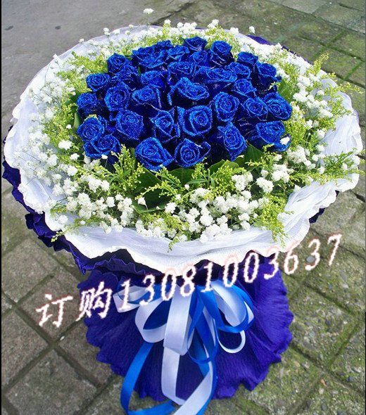 商品详细;33蓝玫瑰，外围黄莺满天星，白色 蓝色卷边纸圆形包装-.