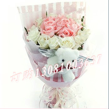 商品详细; 粉色 白色玫瑰共21只 赠送白色泰迪熊装饰-双层棉纸包装