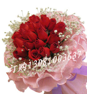 商品详细;16支红玫瑰，满天星围绕，粉色卷边纸-圆形包装