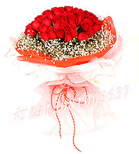 商品详细; 57支红玫瑰，满天星围绕。-红色绵纸和粉色绵纸圆形包装。