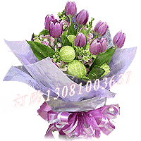 商品详细;紫色郁金香9支、香雪兰、白竹�~间插-紫色棉纸圆形包装