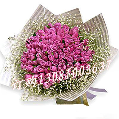 商品详细;99支紫玫瑰满天星组合-圆形包装