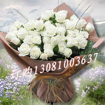 商品详细;33白玫瑰、高山羊齿叶组合-棕色包装纸圆形包装