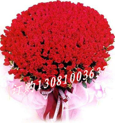 商品详细;999支红玫瑰，满天星围绕 -纱网圆形包装.